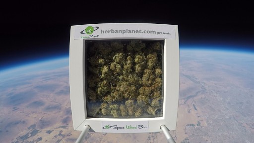 Herban Planet Launches 'Space Weed Bro' Marijuana Into Space