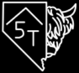 5tminis