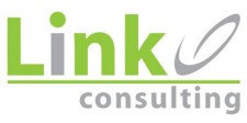 Link Consulting Services Logo