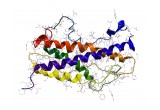 HGH Molecular Structure