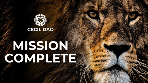 Cecil DAO Fulfills Its Mission and Distributes Funds to All Partner Charities