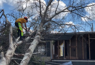 Scientology Volunteer Minister helps clear away trees.