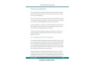 5 Pillars of Success - Sample Page 1