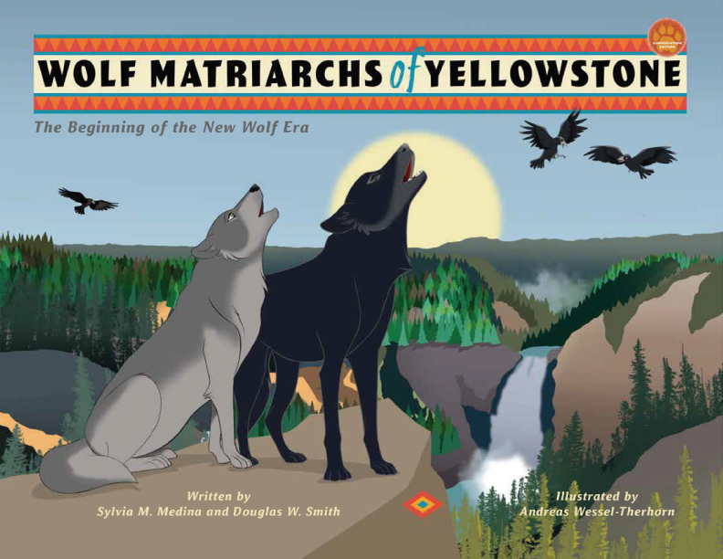 Wolf Matriarchs of Yellowstone National Park 
