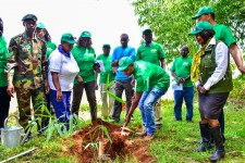  Africa Plantation Capital planting Bamboo with Bidco