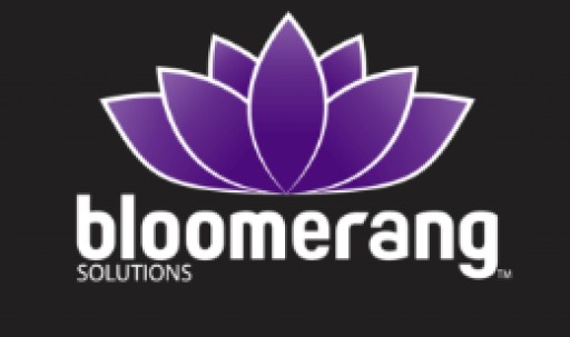 Bloomerang Solutions Continues to Grow in the Digital Marketing Industry