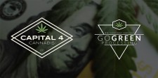 Go Green & Capital 4 Cannabis Banner
