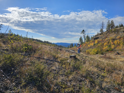 Lithium Corporation Rare Earth Elements Property Update