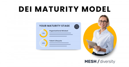 MESH DEI Maturity Model