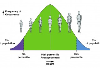 Population Height Distribution