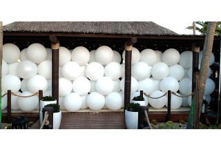 Disappearing Balloon Wall Reveal by TLC Creative Surprises Guests