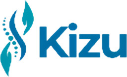 Kizu