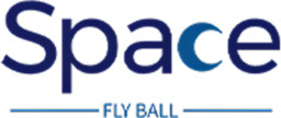 Space Fly Ball