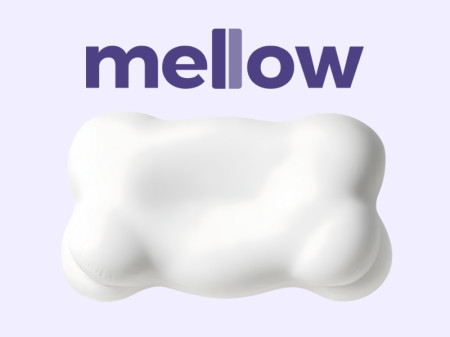 Best Ergonomic Pillow for Neck & Back Pain Relief