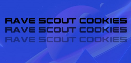 Salman Jaberi Launches Rave Scout Cookies, a Multimedia EDM Platform Devoted to Bolstering POC and LGBTQ+ Talent