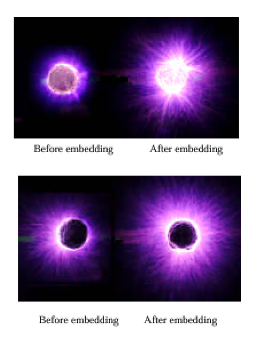 Scalar Energy: The Next Frontier in Bioelectric Healing and Human Optimization