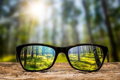 Keep a Clear Frame of Reference — Financial Education Benefits Center on Vision Benefits