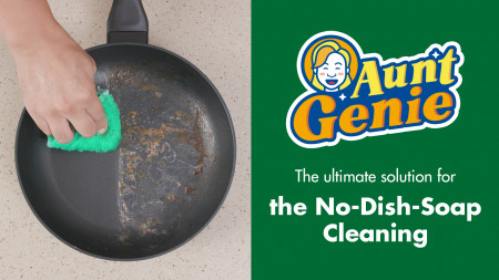 Aunt Genie's Dishcloth Cleans the World with Its No-Soap Magic