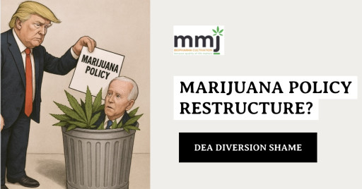 President Trump's Decision on Medical Cannabis Will Define His Legacy: Science or Marijuana Policy Stagnation