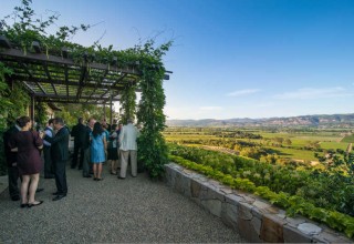 Winery Vineyard Party