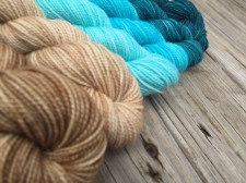 Floats Your Boat Gradient Hand Dyed Yarn Set