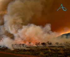 Avamere Acts Amongst Oregon Wildfires