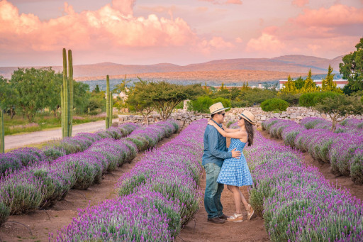 For Unforgettable Weddings, Choose the State of Guanajuato