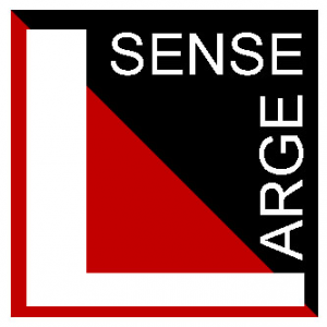 LargeSense LLC