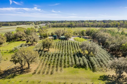 Equestrian Paradise With Olive Grove Hits the Market for $11.9 Million