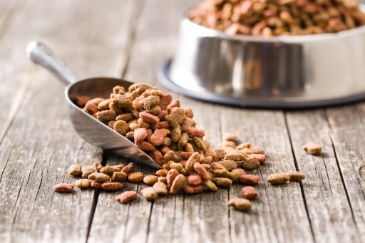 Review of 31 Studies Finds Vegan Dog Food and Vegan Cat Food Are Well Digested