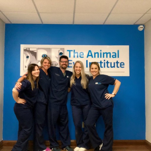 New Office for the Animal Eye Institute of Northern Kentucky