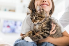 Pets Deserve Care They Can Count On