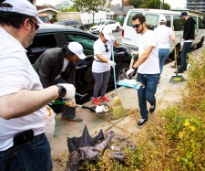 Hollywood's Village Cleanup
