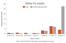 Caltec Ag White Fly Study Report