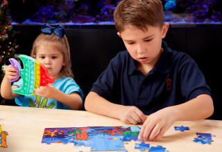 Puzzles, Toys and More for Kids of All Ages!