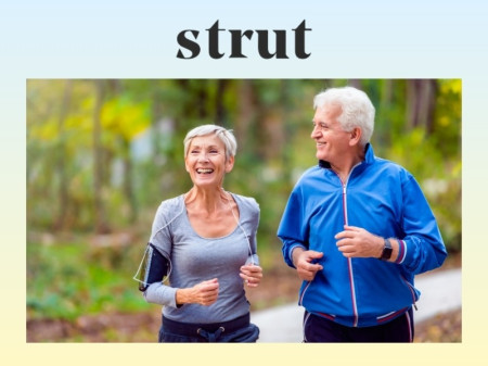 Strut Health Custom-Compounded Prescriptions Pricing