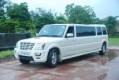 Nwtlimo International