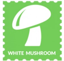 White Mushrooms Holidays Pvt. Ltd