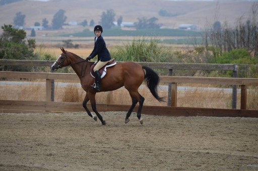 Capital Access Group and the SBA 504 Loan Program Pony Up for Strides Riding Academy With $2.5 Million Loan to Purchase a 20-Acre Equestrian Facility in Petaluma, CA