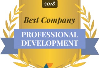 Best Companies for Professional Development