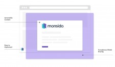 Monsido Web Accessibility Tool