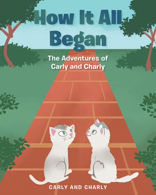 Carly and Charly's New Book 'How It All Began' Brings a Fantastic Illustrated Tale About Twin Shelter Cats Facing New Adventures Together