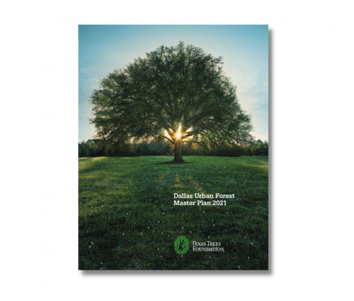 Texas Trees Foundation Presents the First Urban Forest Master Plan to the City of Dallas for Next Steps