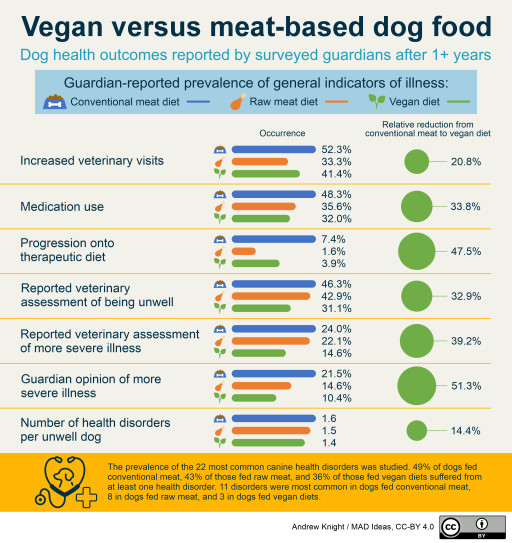 How Much Do Vegan Diets Improve the Health of Dogs?