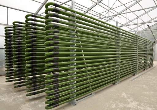 B-Scada Provides IoT Solution to Optimize Algae Cultivation in Colorado