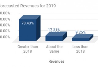 Forecasted Revenues For 2019
