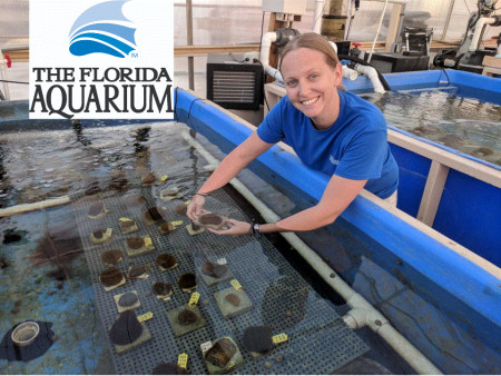 Kerri O'Neil, Florida Aquarium's Senior Coral Scientist