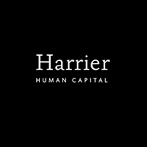 Harrier Human Capital Offers Wide Range of Recruitment Services