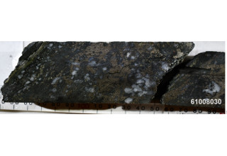 Mawson Gold Limited, Monday, December 7, 2020, Press release picture