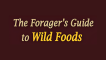 The Foragers Guide to Wild Foods